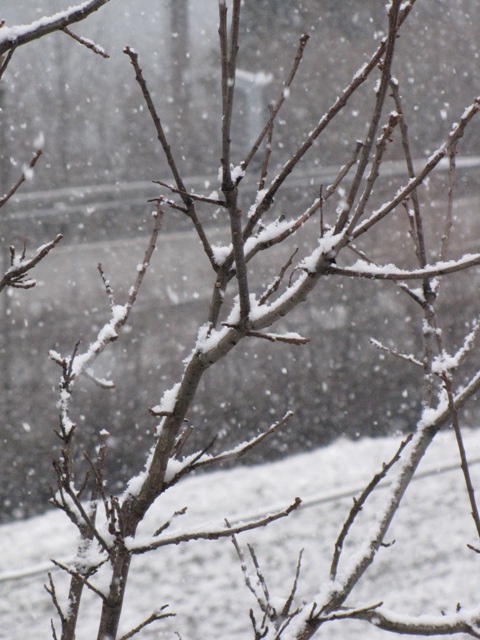 Es schneit und schneit und schmückt so den Bouche de Bétizac mit seiner weissen Pracht.
