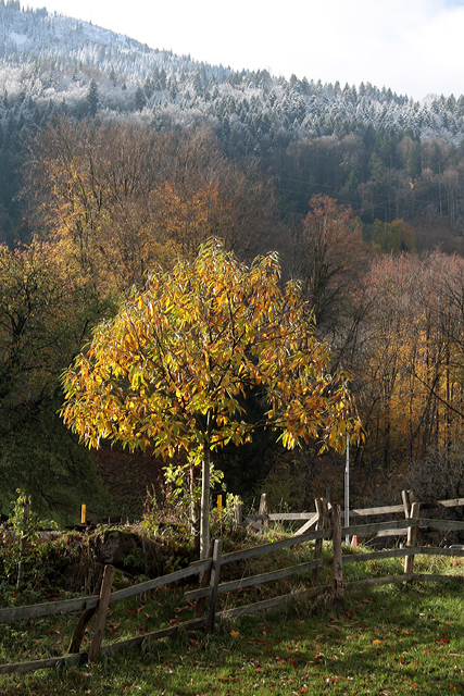 Bouche de Bétizac leuchtet in der Herbstsonne.
